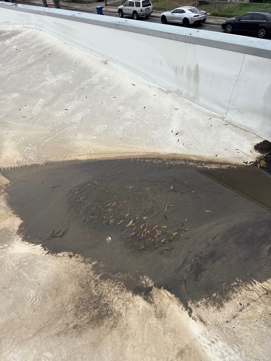 Ponding water on a commercial flat roof in Merced CA — diagnostic photo by Econo Roofing showing standing water with leaf debris on aged coating, indicating coating failure and improper slope.